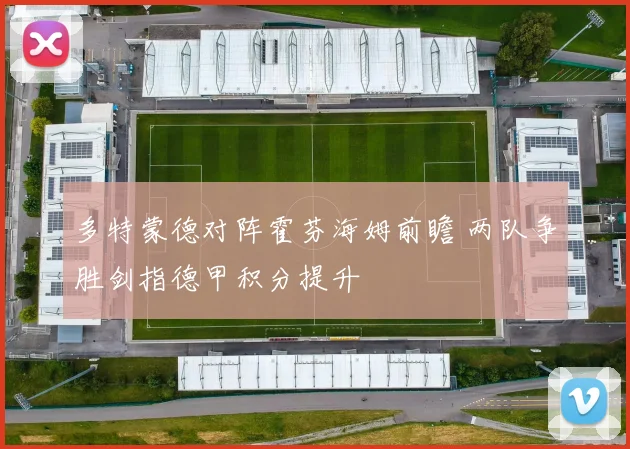 多特蒙德对阵霍芬海姆前瞻 两队争胜剑指德甲积分提升