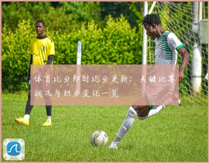体育比分即时比分更新：关键比赛战况与积分变化一览