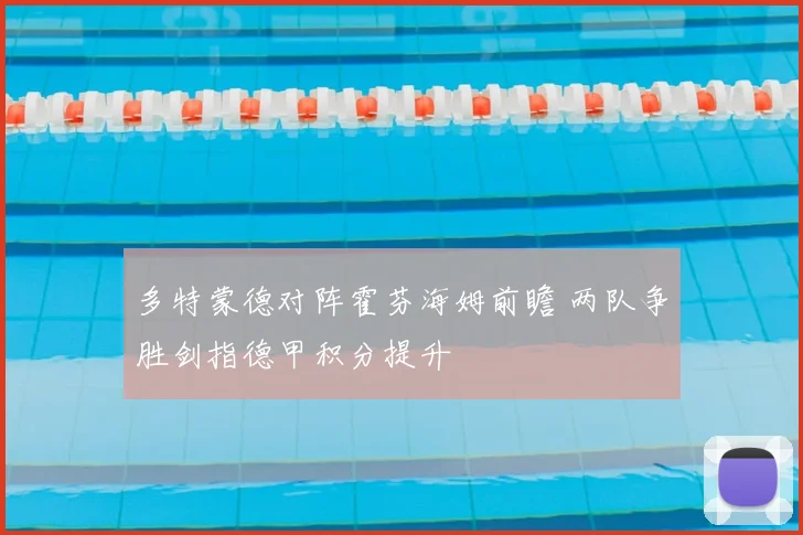 多特蒙德对阵霍芬海姆前瞻 两队争胜剑指德甲积分提升